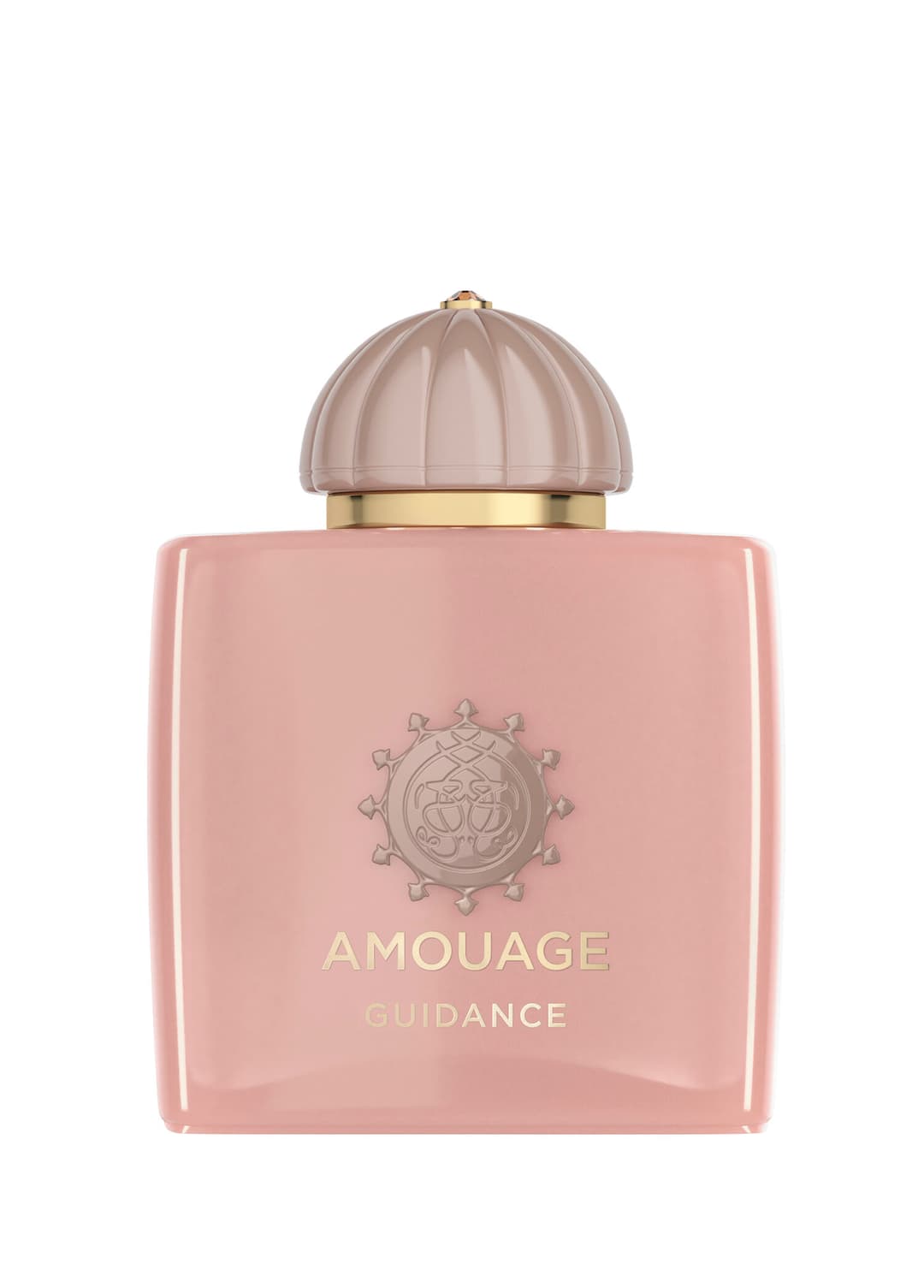 Amouage Guidance Edp 100ml — Amouage Unisex Parfüm ürün görseli