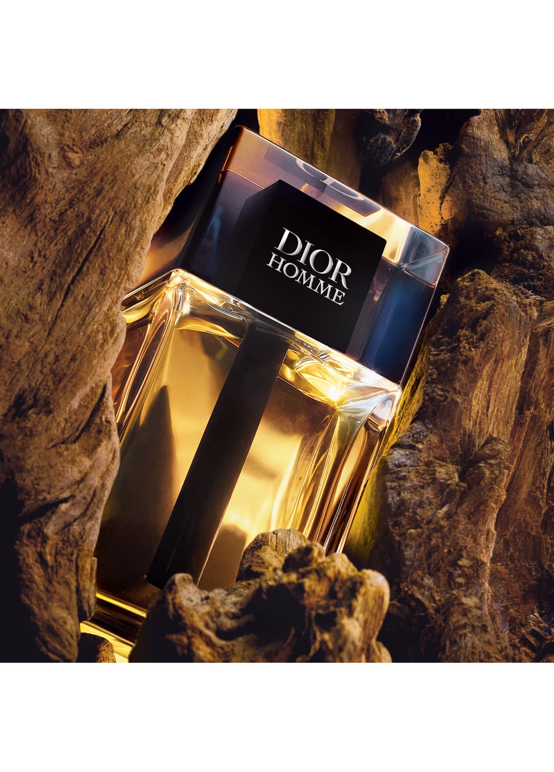 Dior Homme Eau de Toilette 100 ml Erkek tester görsel 3