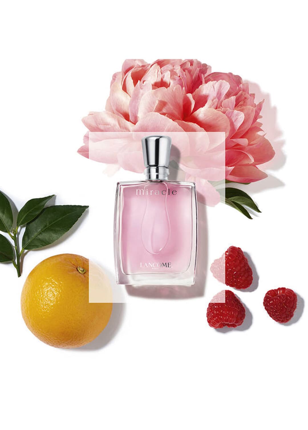 Lancome Miracle Edp 100 ml Kadın Parfüm görsel 3